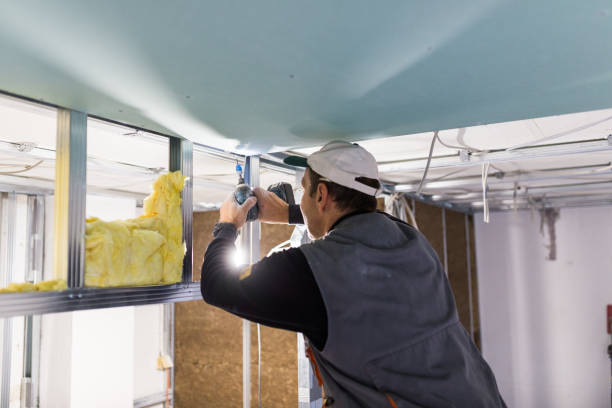 Attic Insulation Near Me in Altavista, VA